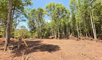 148 Berry Rd Lot 12A, Barnesville, GA 30204
