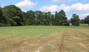TBD CR 314, Henderson, TX 75652