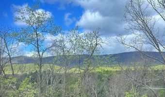 274 THE Hl 13-C, Basye, VA 22810