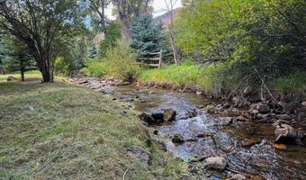 27667 Buckhorn Rd, Bellvue, CO 80512