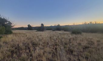 1 COUNTY ROAD N8155, Concho, AZ 85924