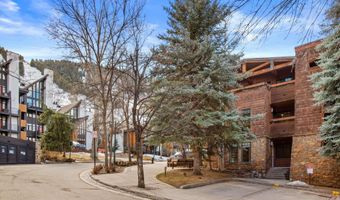 747 S Galena St 230 & 330, Aspen, CO 81611