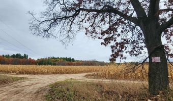71 Acres Chicago Dr, Arkdale, WI 54613