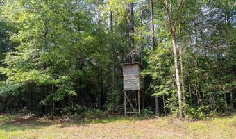10 AC +/- Gravel Pit Lake Rd, Beaumont, MS 39423