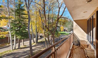 408 E Cooper Ave, Aspen, CO 81611