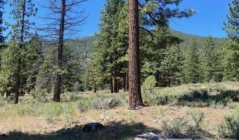 3584 Knob Point Trl Lot 94, Carson City, NV 89705
