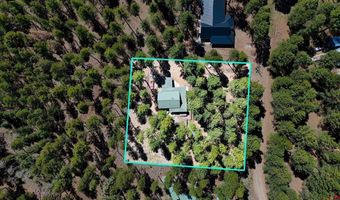 426 Deer Trail Ln, Bayfield, CO 81122