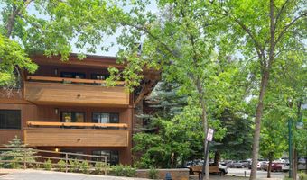 747 S Galena St 230 & 330, Aspen, CO 81611