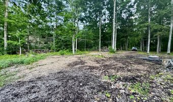 3206 Hidden Ridge Rd, Alanson, MI 49706