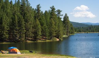 63 Price Loop, Cascade, ID 83611
