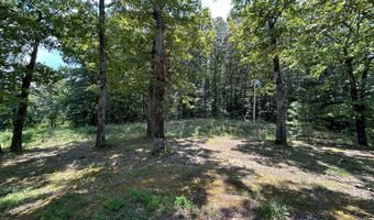 885 SANDY'S CAMP Rd, Big Sandy, TN 38221