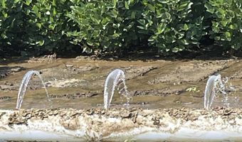 Straight Bayou Road, Anguilla, MS 38721