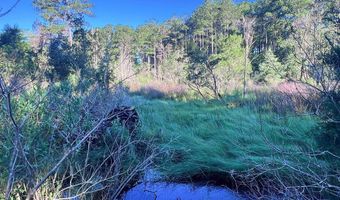 Jarvis Landing Road, Aurora, NC 27806