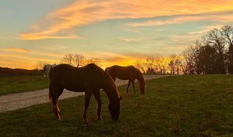 County Road 529, Ava, MO 65608