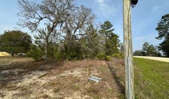 11850 NE 108 St, Archer, FL 32608