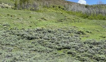 Tbd FISHERMAN CREEK / CHIPPEWAUGH Road, Bondurant, WY 82922