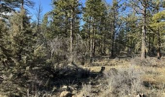 Badger Lane, Bonanza, OR 97623