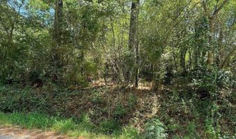 3449 HONEYCUTT Rd Lot 123, Adamsville, AL 35005