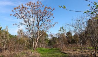 1541 Frank Hall Rd, Bolton, MS 39041