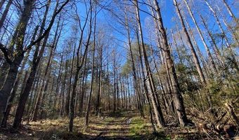 TBD Bogue Chitto Road SW, Bogue Chitto, MS 39629