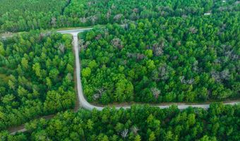 404 Barry Dr, Alger, MI 48610