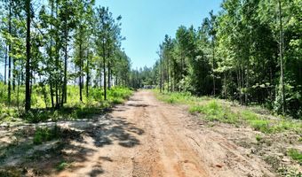 1570 AL HWY 223, Banks, AL 36005