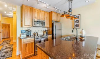 35 Patton Ave 302, Asheville, NC 28801