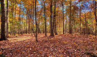 54 E Ridge Rd, Allardt, TN 38504