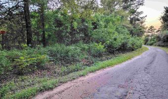 9751 Ocelot, Gilmer, TX 75644