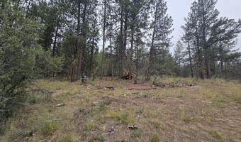 Partin Way 5, Beatty, OR 97621