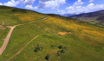 901 Red Mountain Rd, Almont, CO 81210