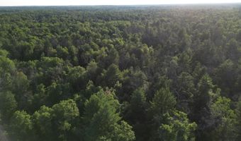 Michael Drive, Alger, MI 48610