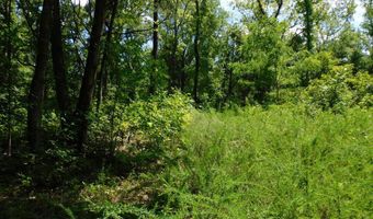 98 63 AC Pointer Rd, Alton, VA 24520