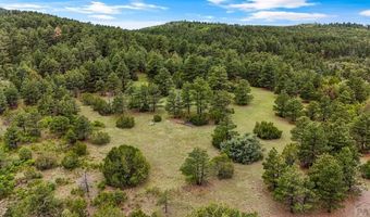 8716 National Forest Dr, Beulah, CO 81023