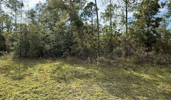 Beaverhead Street, Alford, FL 32420