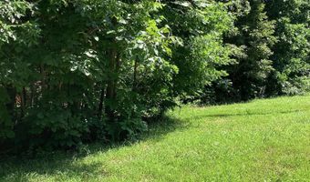 951 County Road 206, Alton, MO 65606