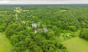 21 Lakeview Ln, Anderson, MO 64831