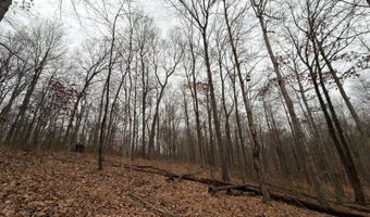 TBD1 E Willow Rd, Bloomfield, IN 47424