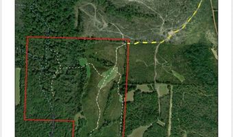 County Road 231, Abbeville, AL 36310