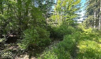 Townline Road, Angelica, NY 14709