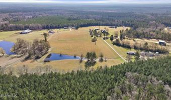 766 Pinola Braxton Rd, Braxton, MS 39044
