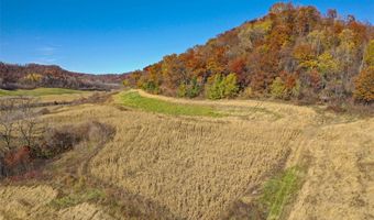 County KK, Alma, WI 54610