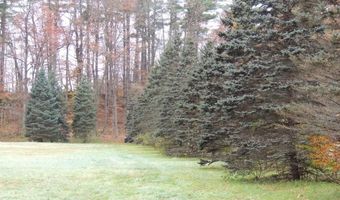 Lot 20 -20.3 Farr Road Lot 20-Lot 20.3 Farr Rd and Lot 11-11-1 Brook St, Chesterfield, NH 03466