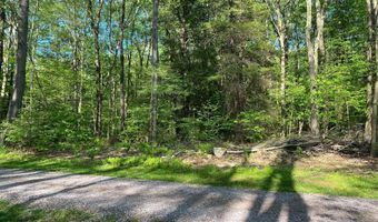 99 ACRE ROCK Ldg, Accident, MD 21520