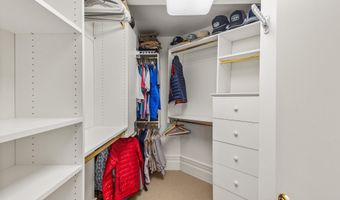 431 W Hopkins Ave, Aspen, CO 81611