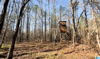 439 WILD ROSE Trl, Ashville, AL 35953