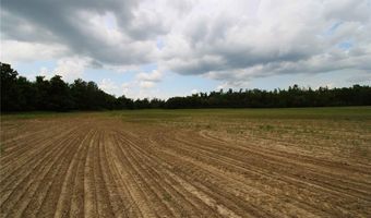 0 County Road 259, Advance, MO 63730