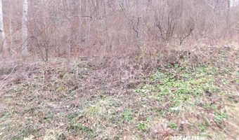 3675 Anawalt Ridge Rd, Anawalt, WV 24808