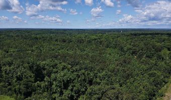 TBD Pine Street, Arkadelphia, AR 71923