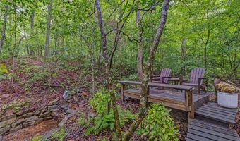 551 Gold Rush Ct, Ball Ground, GA 30107